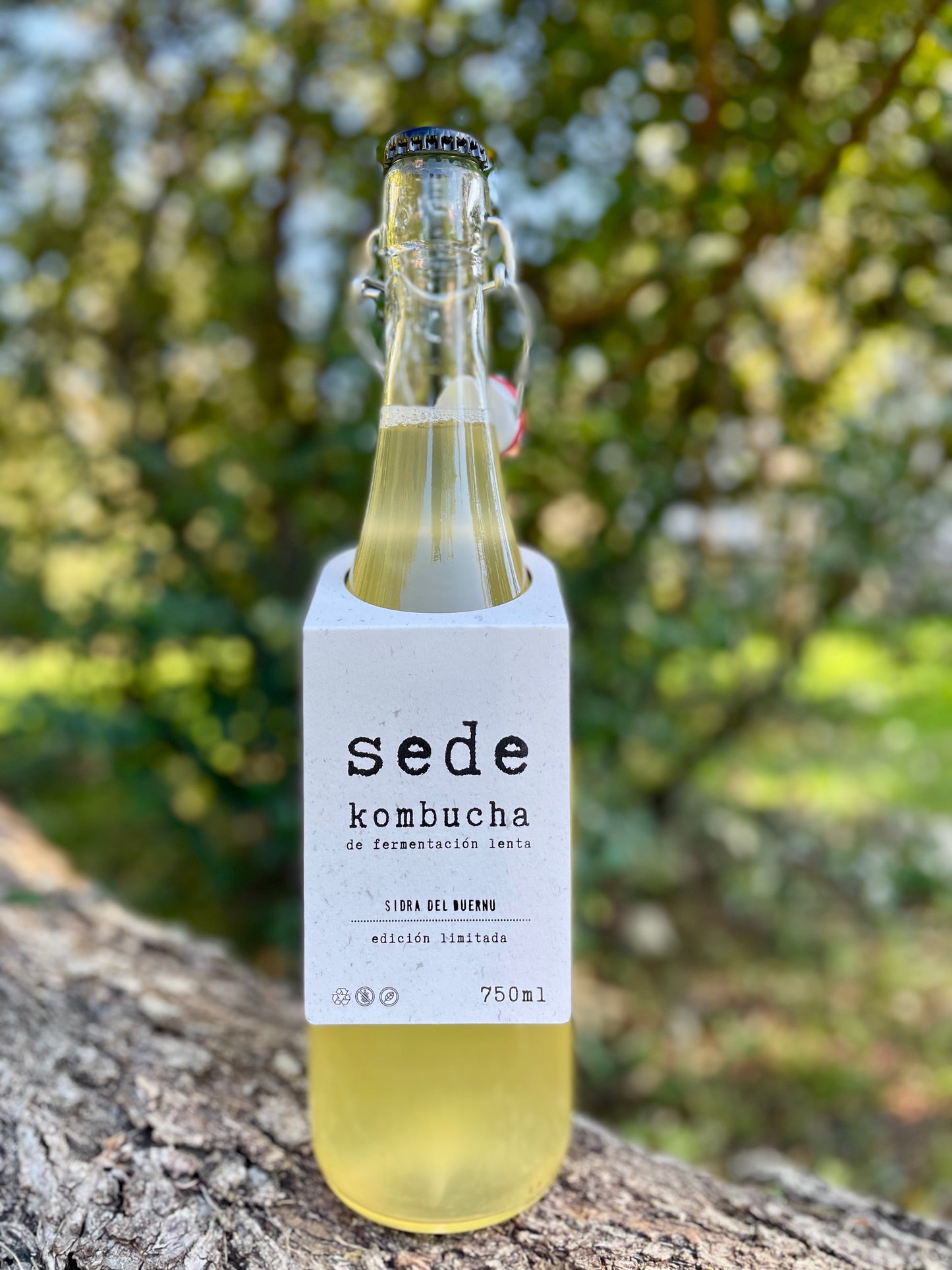 edición limitada - sede sidra del duernu pack 6 botellas 750ml