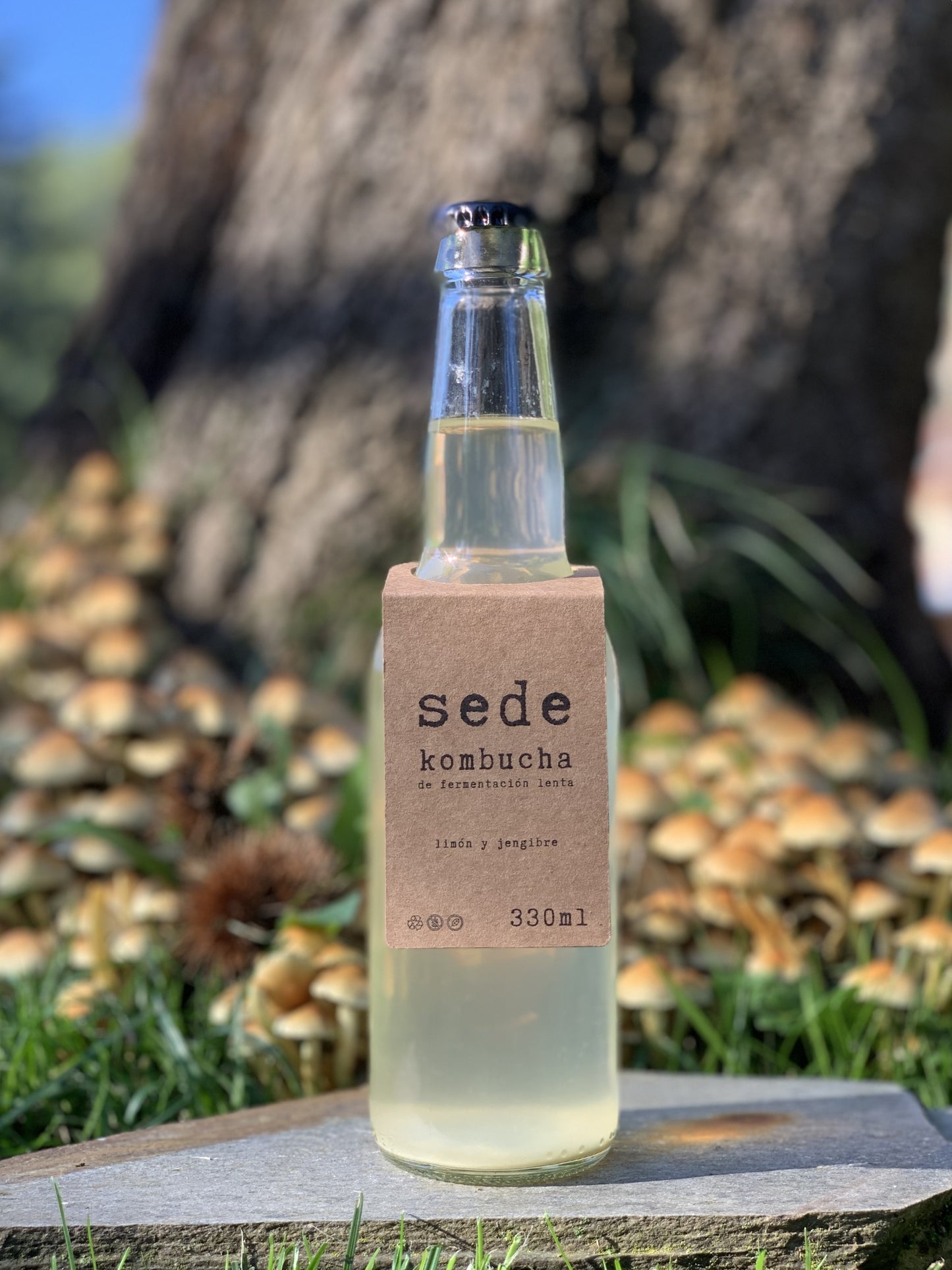 sede con zumo de limón y jengibre 330ml