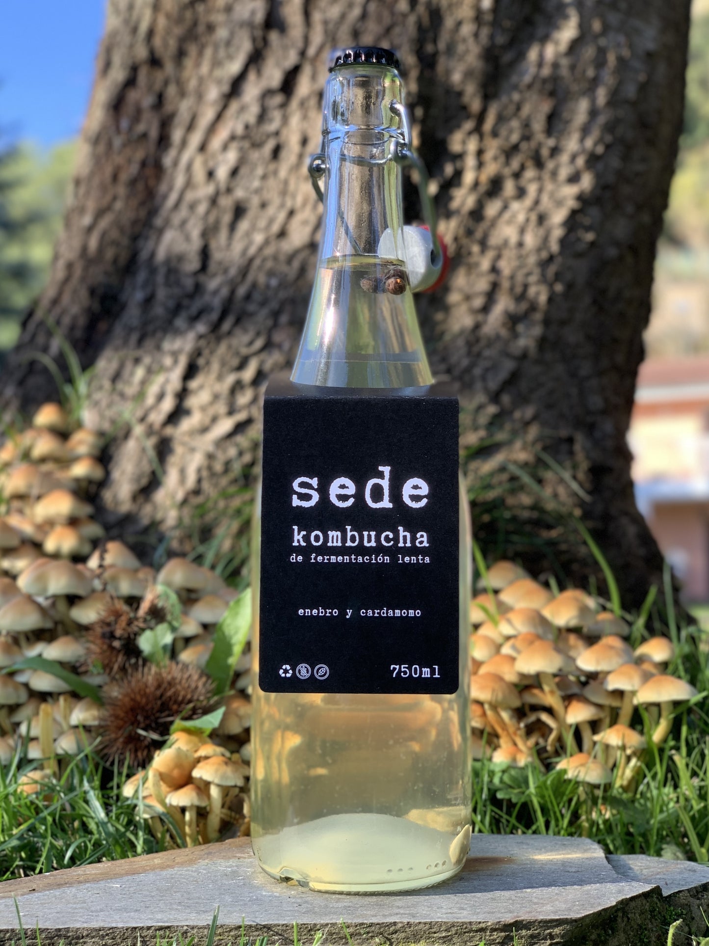 sede con semillas de enebro y cardamomo 750ml