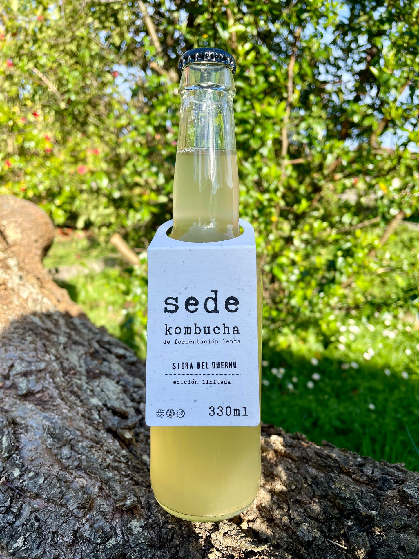 edición limitada - sede sidra del duernu pack 12 botellas 330ml