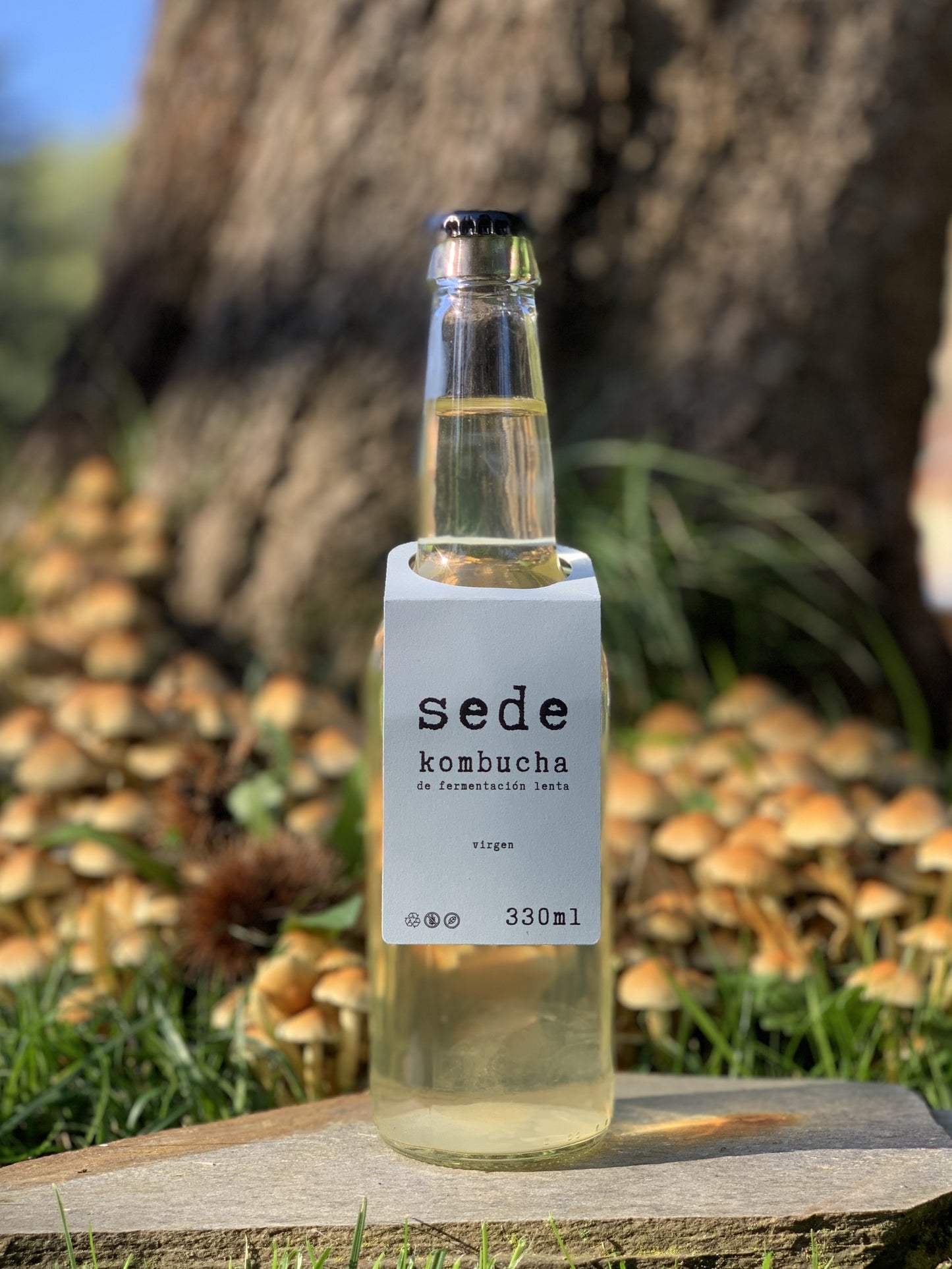sede virgen 330ml